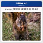 thurston 카운티 마약 사용 의심 남성 환각 상태에서 안전하게 체포