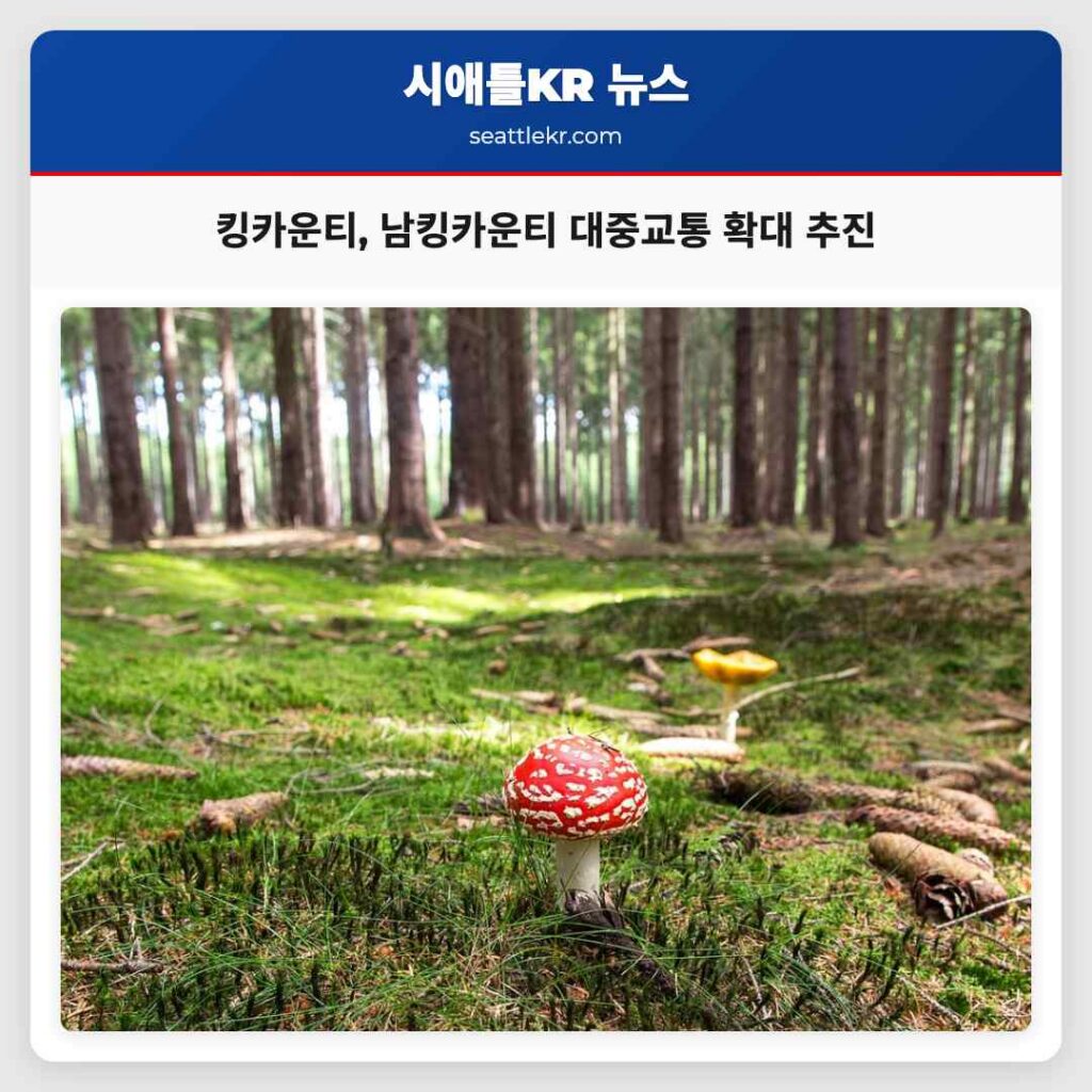 킹카운티, 남킹카운티 대중교통 확대 추진