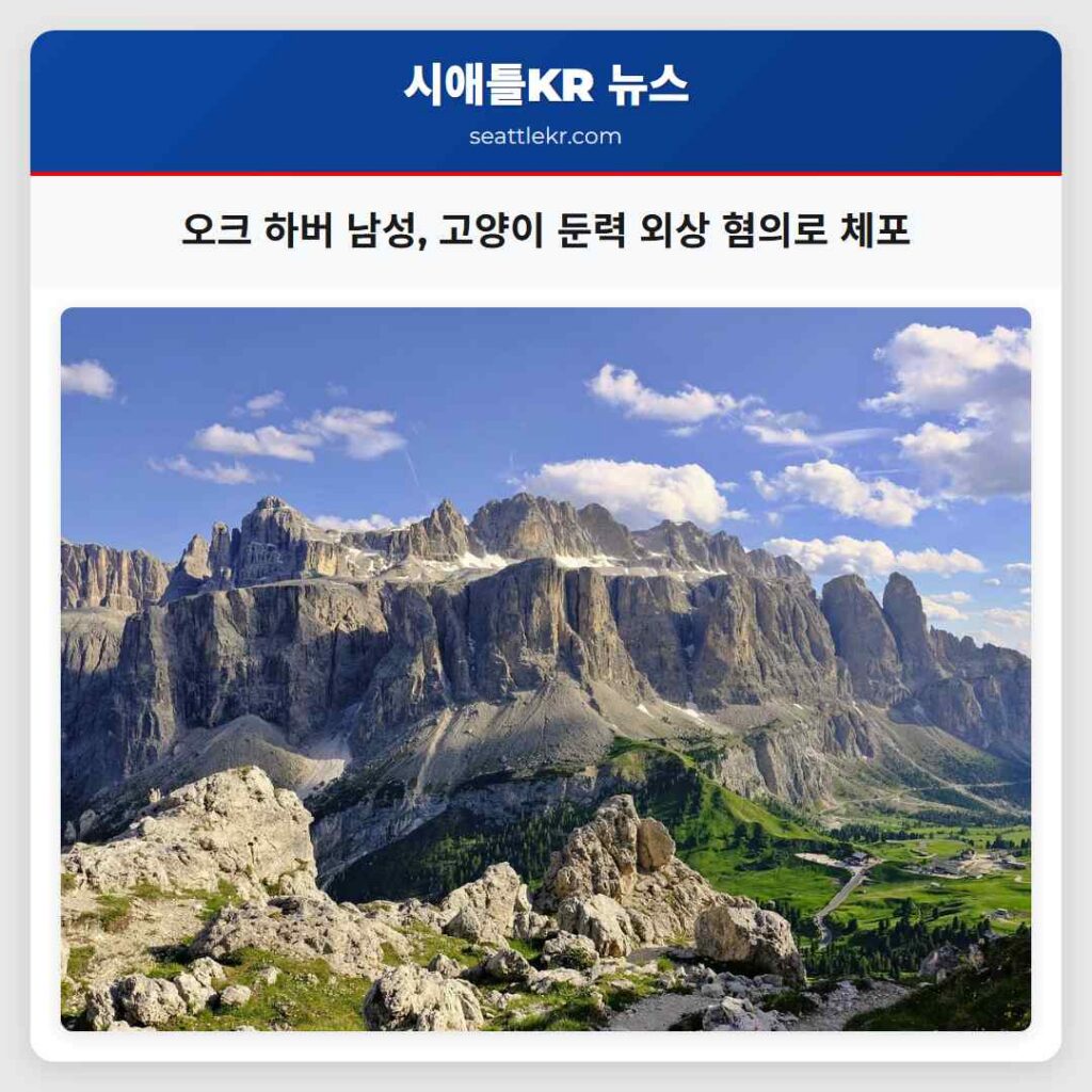 오크 하버 남성, 고양이 둔력 외상 혐의로 체포