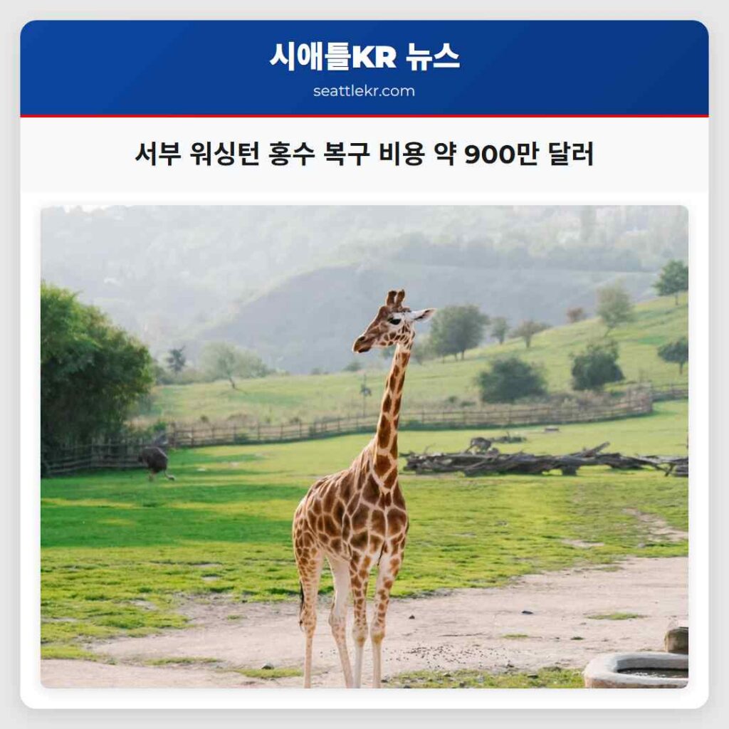 서부 워싱턴 홍수 복구 비용 약 900만 달러