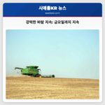 강력한 바람 지속 산지 강풍 영향 목요일까지 지속