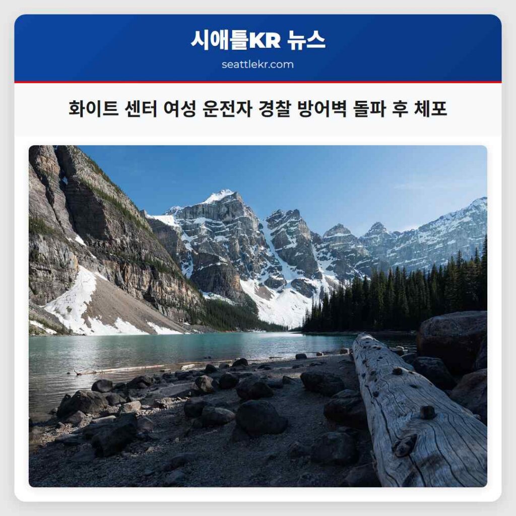 화이트 센터 여성 운전자 경찰 방어벽 돌파 후 체포