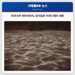 마르시카 하르지타이 모든 멋진 순간들로 브로드웨이 무대에 첫 발 내딛다