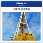 시애틀 주말 교통 혼잡 예상 주요 행사 및 시위로 인한 혼잡