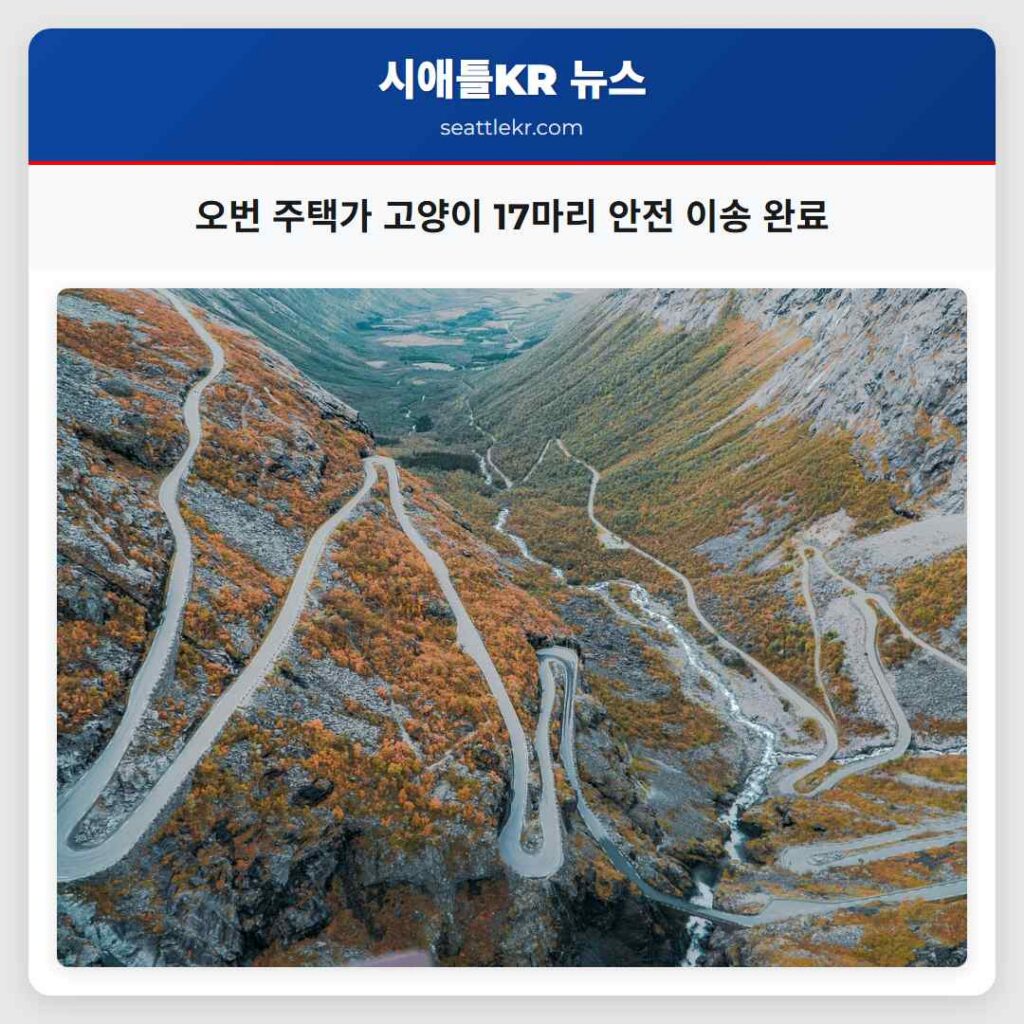 오번 주택가 고양이 17마리 안전 이송 완료