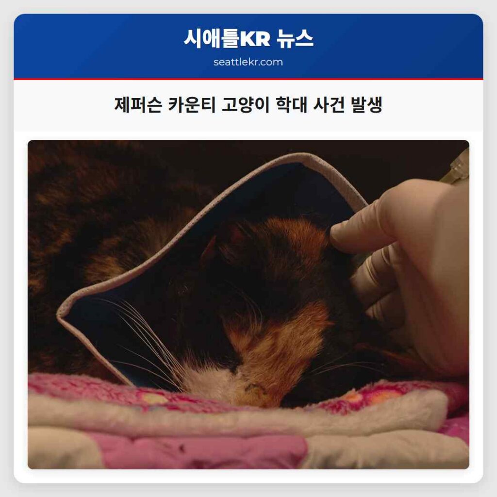 제퍼슨 카운티 고양이 학대 사건 발생