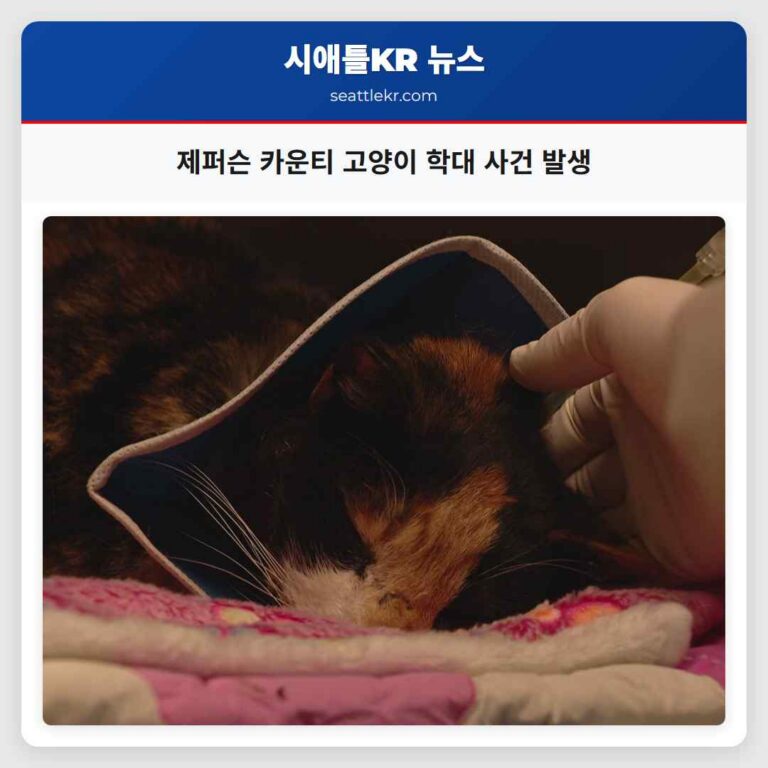 제퍼슨 카운티 동물 학대 논란 고조 부상당한 고양이 페니 발견