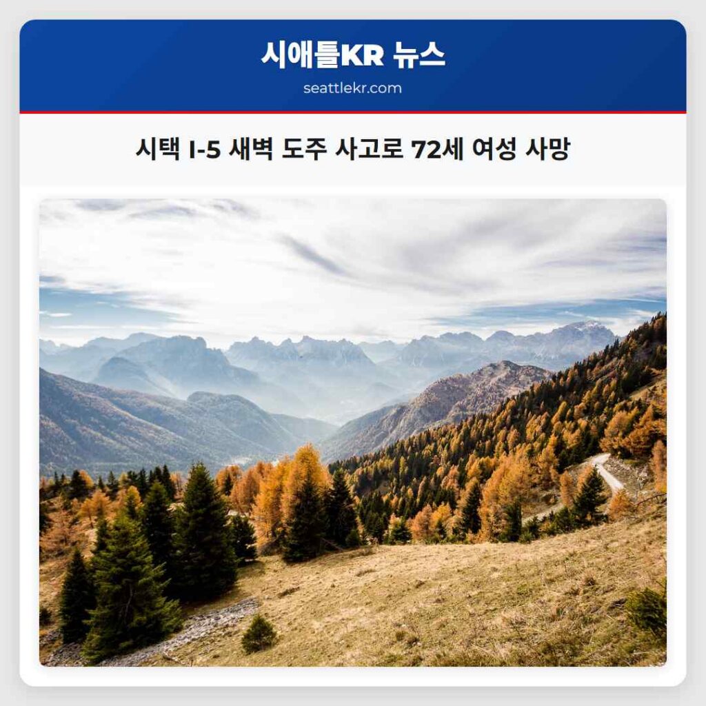 시택 I-5 새벽 도주 사고로 72세 여성 사망