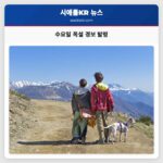 수요일 폭설과 강풍 경보 눈보라와 홍수 위험 경고