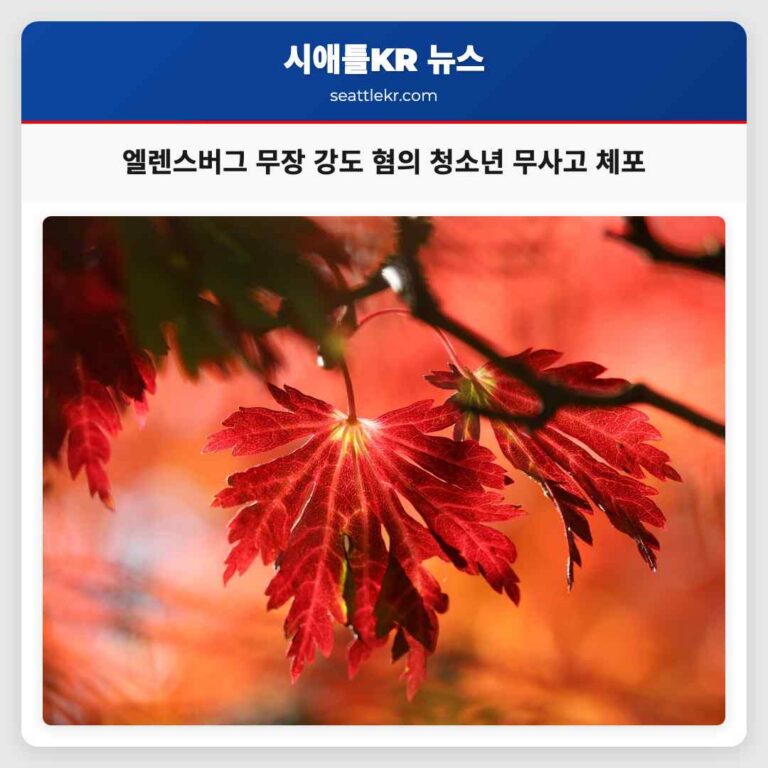 엘렌스버그 토요일 무장 강도 혐의 청소년 무사고 체포