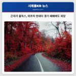 곤자가 불독스의 우승 꿈 워싱턴 팬들의 슬픔 속 희망의 불꽃