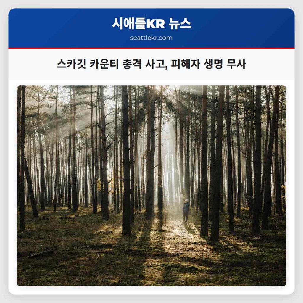 스카깃 카운티 총격 사고, 피해자 생명 무사
