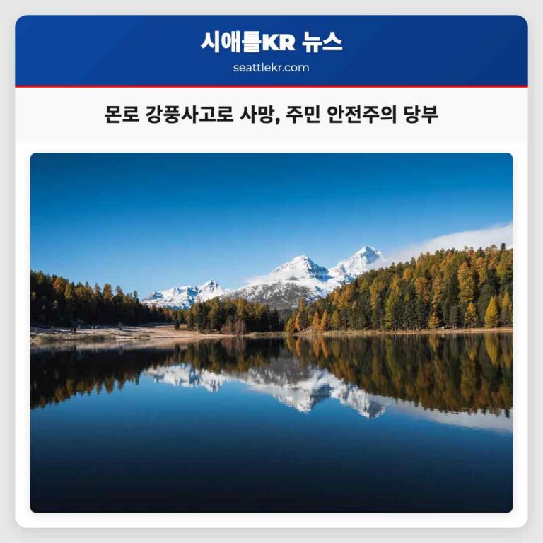 수요일 밤 몬로 강풍으로 나무 추락 사고 발생… 주민 안전 경고