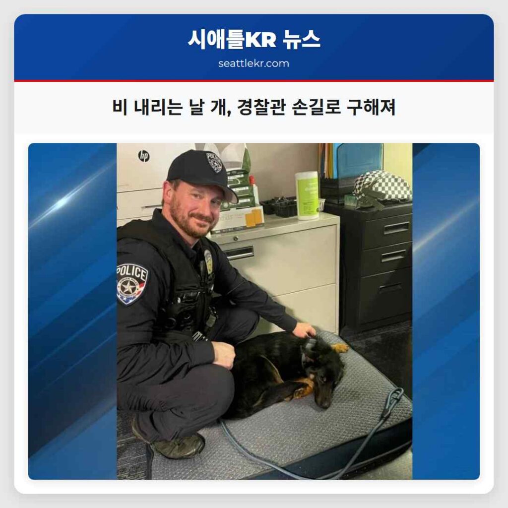 비 내리는 날 개, 경찰관 손길로 구해져
