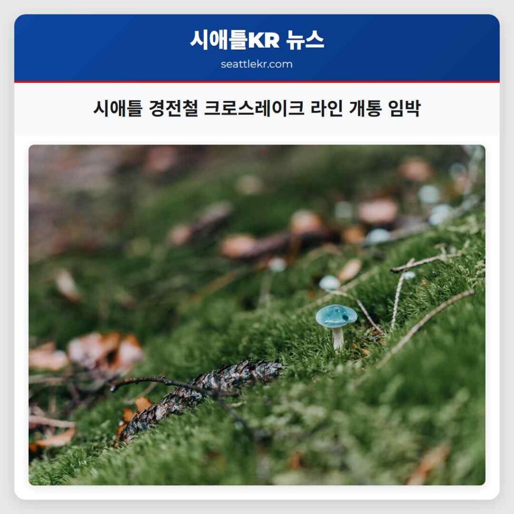 시애틀 경전철 크로스레이크 라인 개통 임박