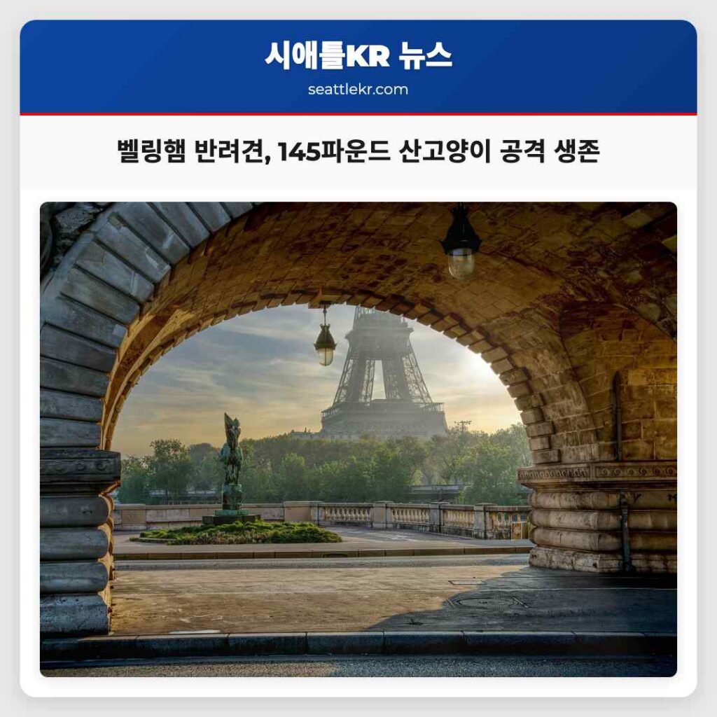 벨링햄 반려견, 145파운드 산고양이 공격 생존