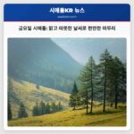 금요일 시애틀 맑고 온화한 날씨로 편안한 한 주 마무리