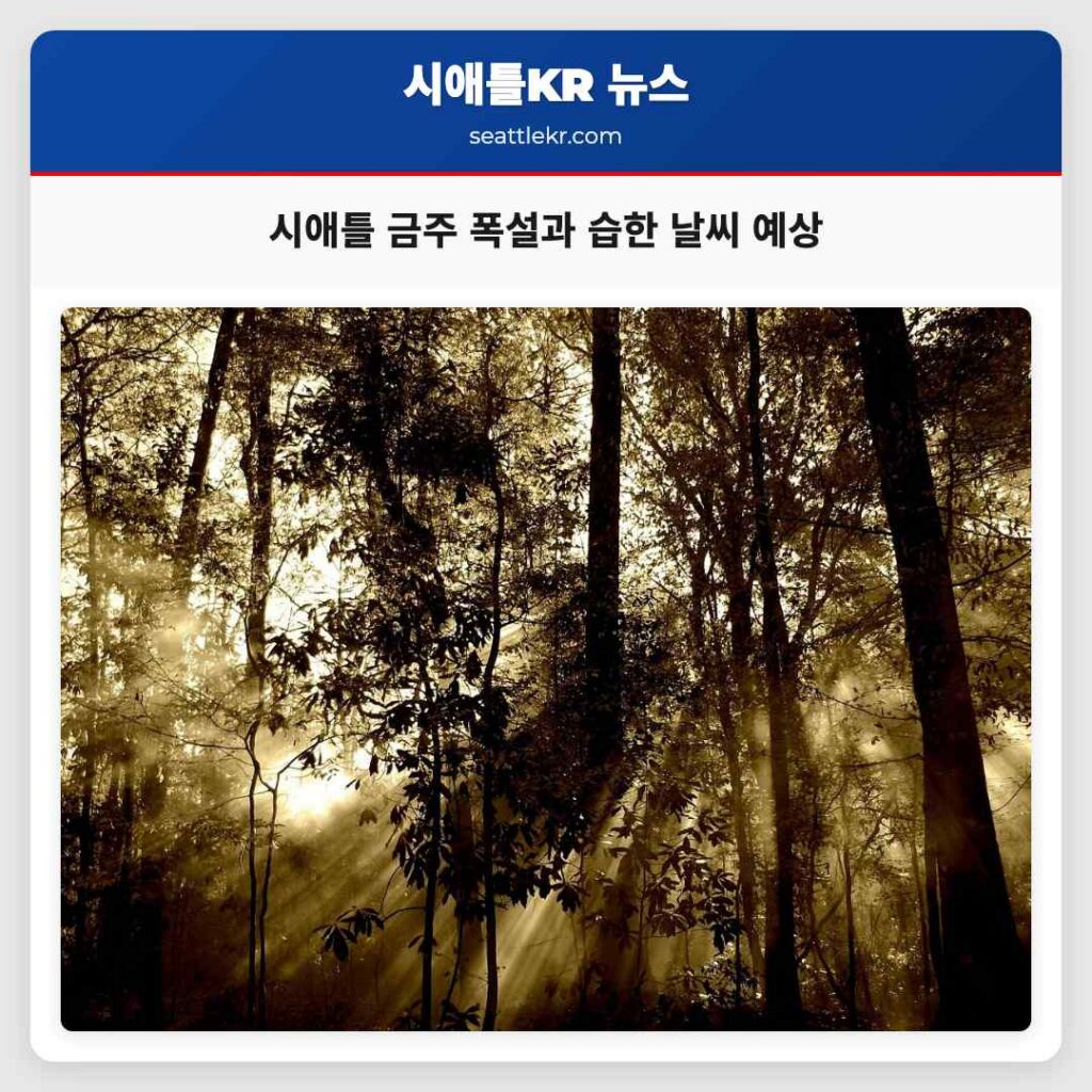 시애틀 금주 폭설과 습한 날씨 예상