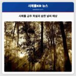 시애틀 금주 중서부 폭설과 습한 날씨 예상