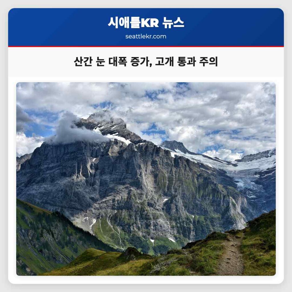 산간 지역 눈 대폭 증가 예보 안전 운전 주의 요구