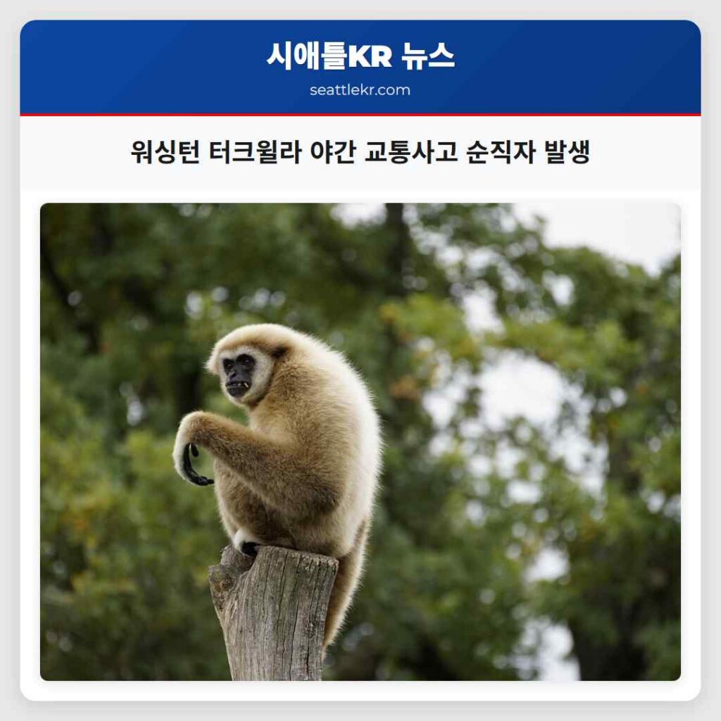 워싱턴 터크윌라 야간 교통사고 순직자 발생