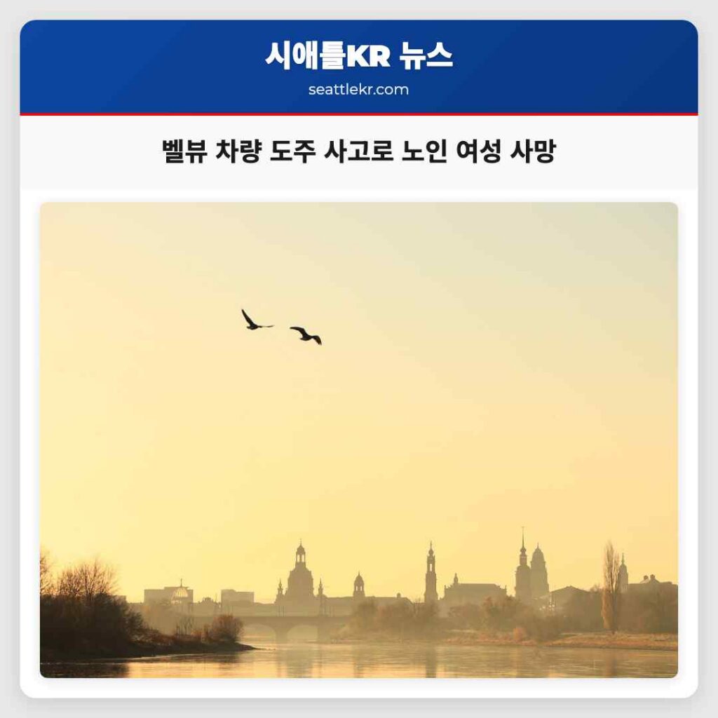 벨뷰 차량 도주 사고로 노인 여성 사망