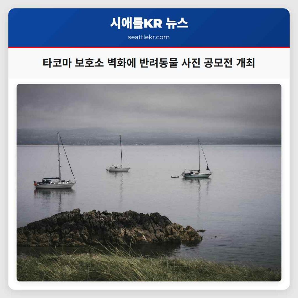 타코마 보호소 벽화에 반려동물 사진 공모전 개최