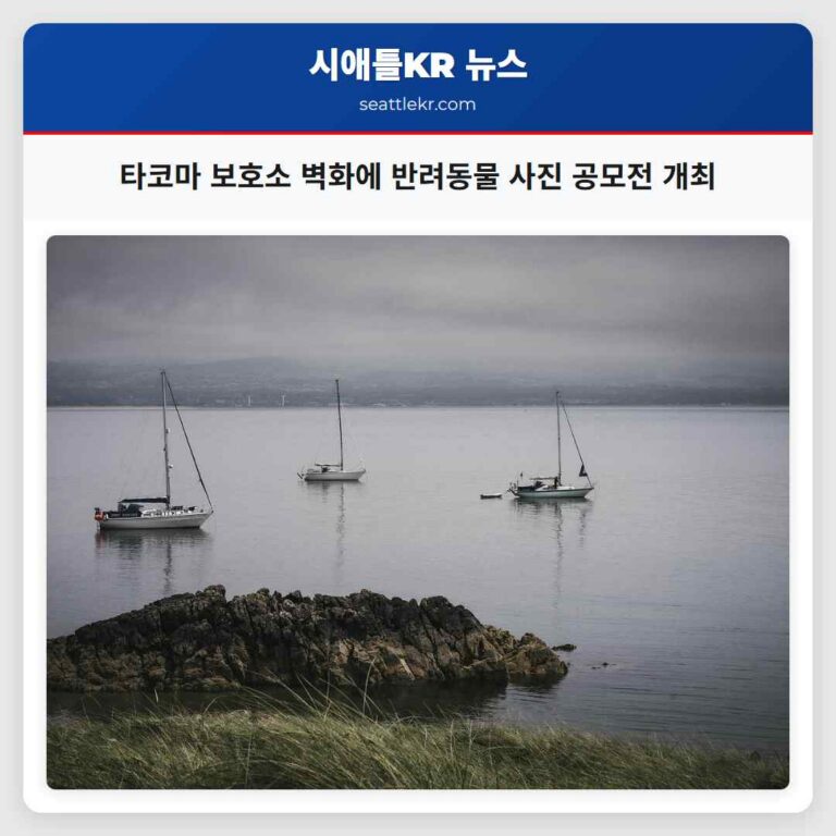 타코마 보호소 외벽 반려동물 이야기로 물들여지다 뮤어 뮤즈 사진 공모전 개최