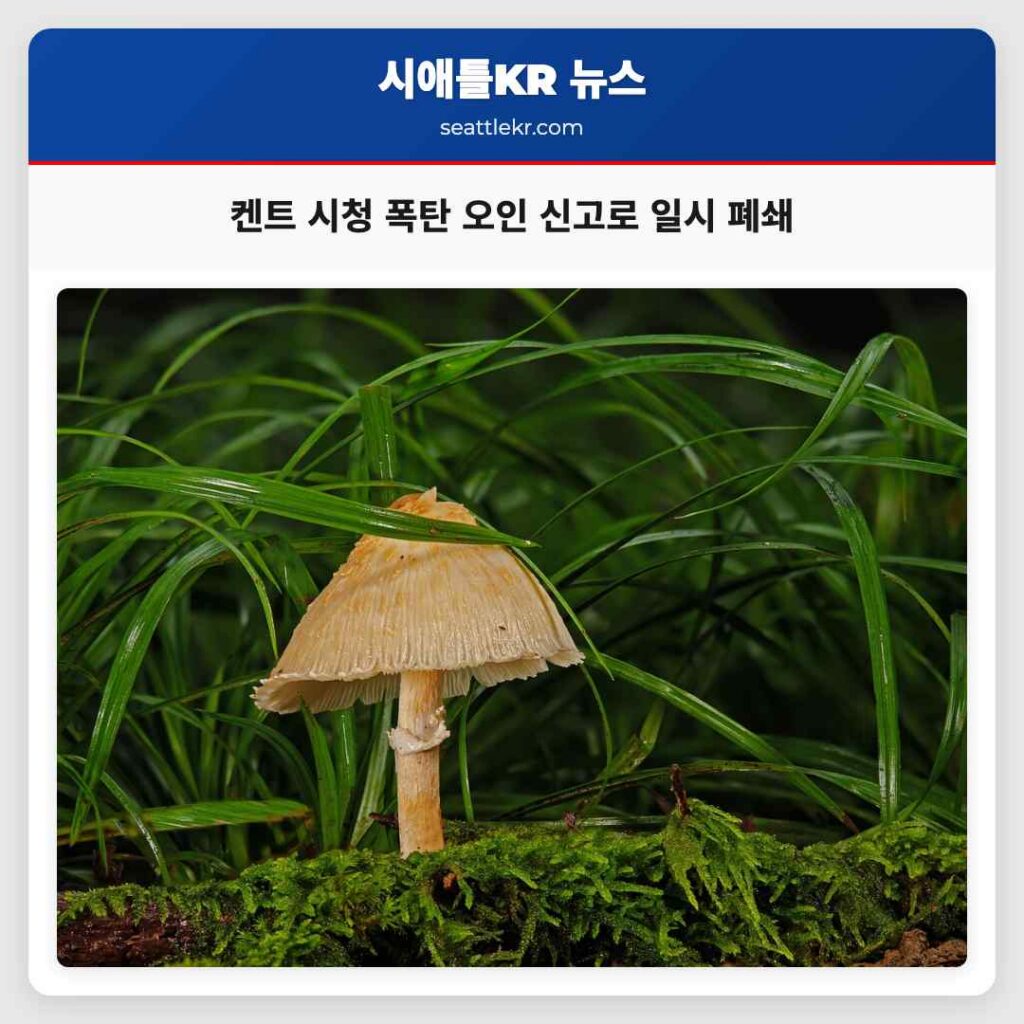 켄트 시청 폭탄 오인 신고로 일시 폐쇄