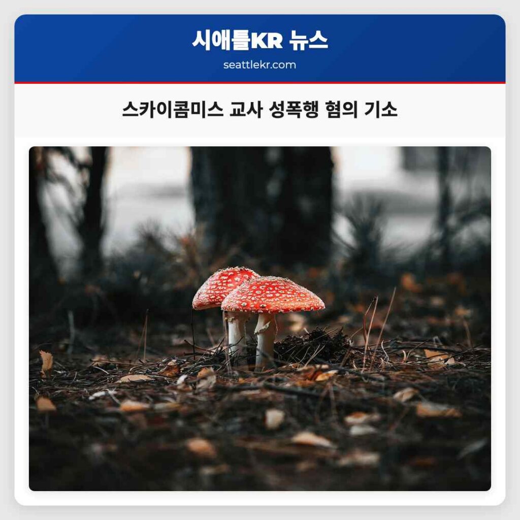 스카이콤미스 교사 성폭행 혐의 기소