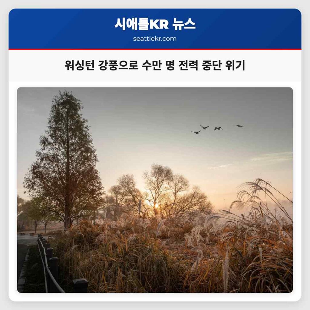 워싱턴 강풍으로 수만 명 전력 중단 위기