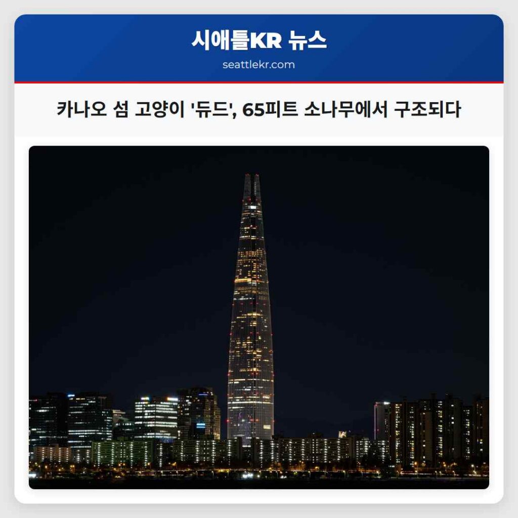 카나오 섬 고양이 '듀드', 65피트 소나무에서 구조되다