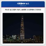 카나오 섬의 전설적인 고양이 듀드 65피트 소나무에서 안전하게 구조되다