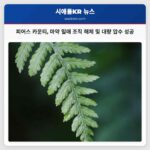 피어스 카운티 경관들의 헌신적 단속으로 대규모 마약 밀매 조직 해체 및 대량 압수 성공