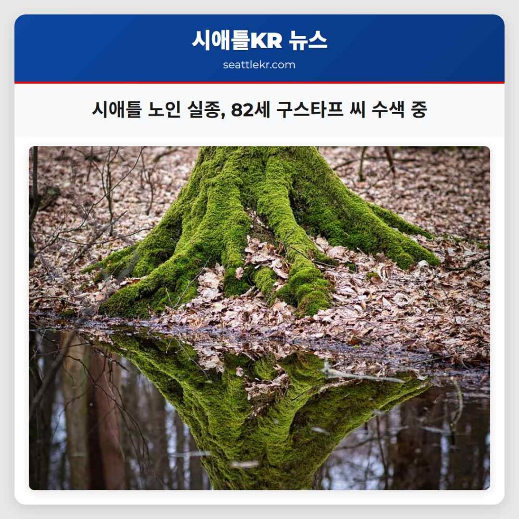 시애틀 노인 실종, 82세 구스타프 씨 수색 중