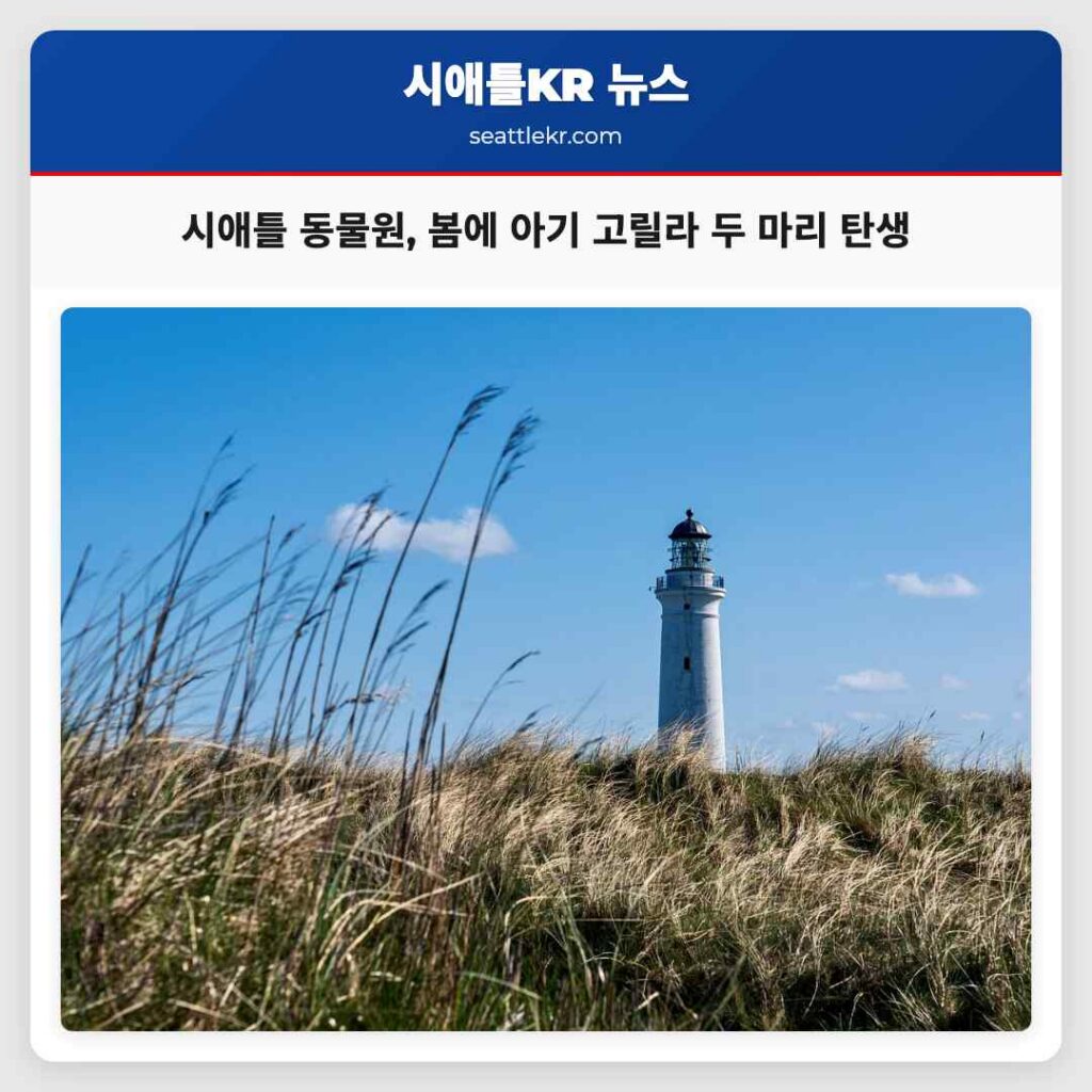 시애틀 동물원, 봄에 아기 고릴라 두 마리 탄생