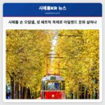 시애틀 중심 숀 오덤넬 아일랜드 펍 성 패트릭 축제로 아일랜드 문화를 살아 숨 쉬게 하다