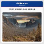 그린우드 버스 사고 승객의 신속한 대응으로 피해 최소화