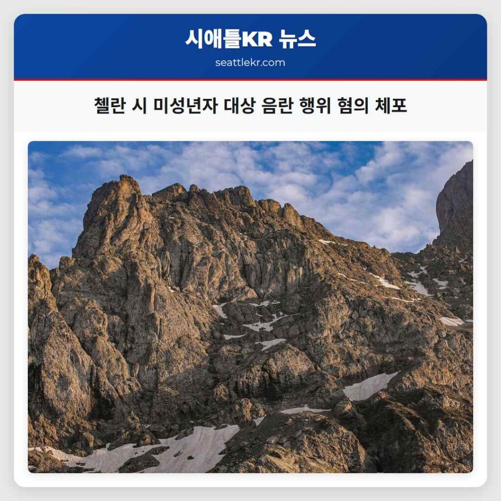 첼란 시 미성년자 대상 음란 행위 혐의 체포