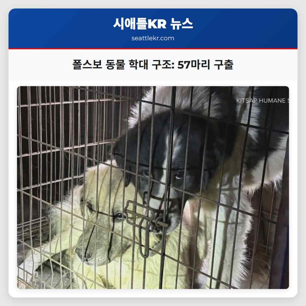 폴스보 동물 학대 구조: 57마리 구출