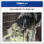 폴스보 동물 학대 사건 키트아스 휴메인 소사이어티 긴급 구조 작전으로 57마리 구조