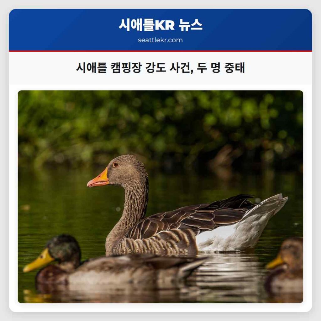 시애틀 캠핑장 강도 사건, 두 명 중태