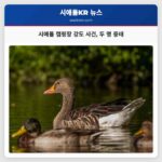 시애틀 웨스트 캠핑장 강도 사건 발생 두 명 중태