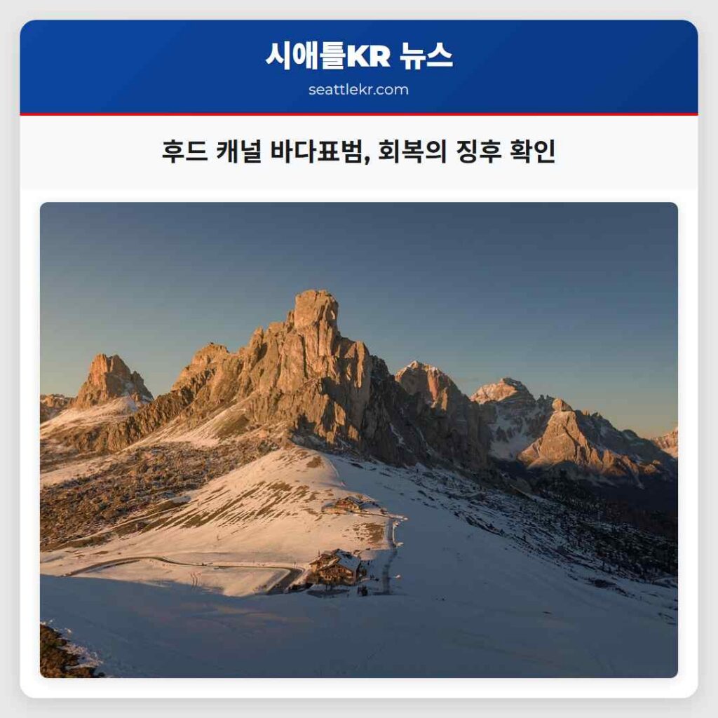 후드 캐널 바다표범, 회복의 징후 확인