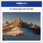 호호 캐널에서 회복의 희망을 품은 총상 바다표범 발견