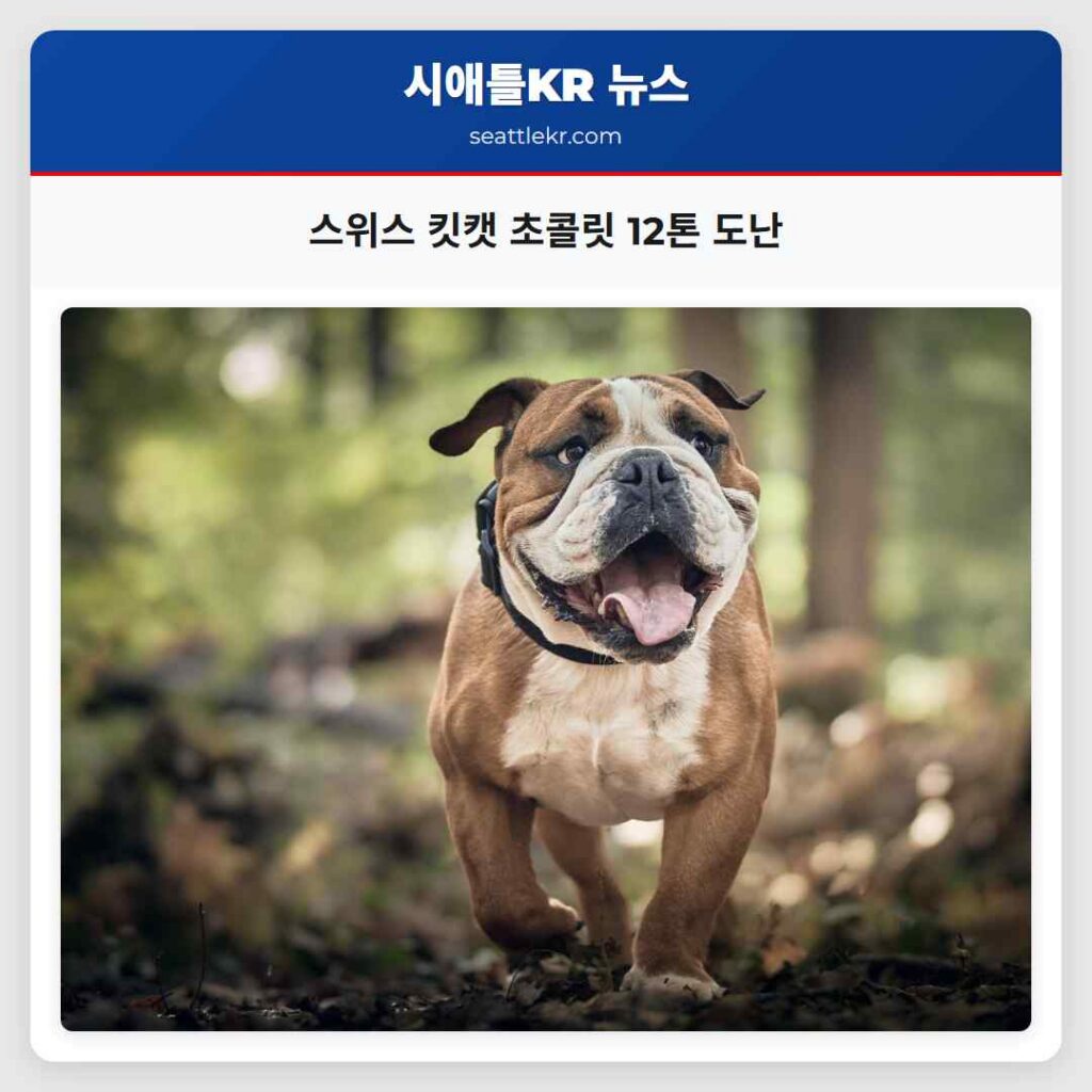 스위스 킷캣 초콜릿 12톤 도난
