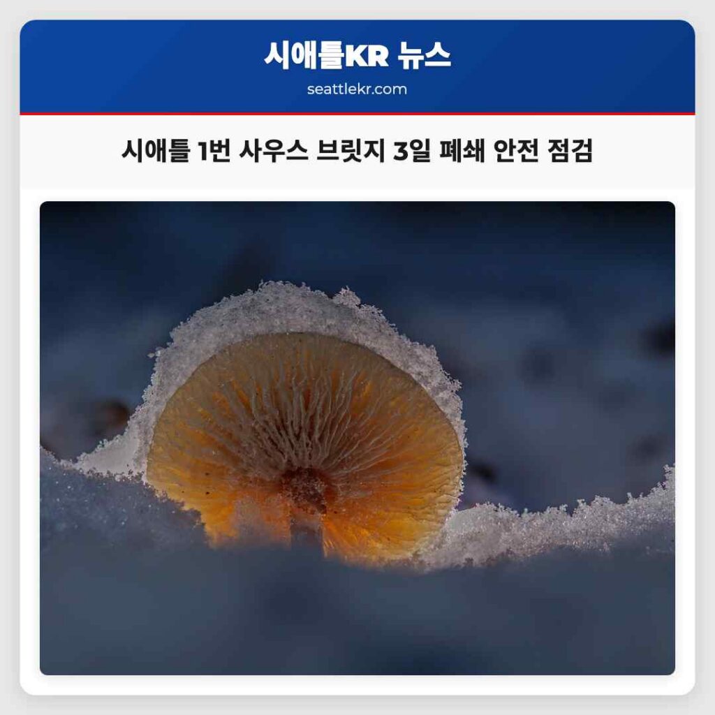 시애틀 1번 사우스 브릿지 3일 폐쇄 안전 점검