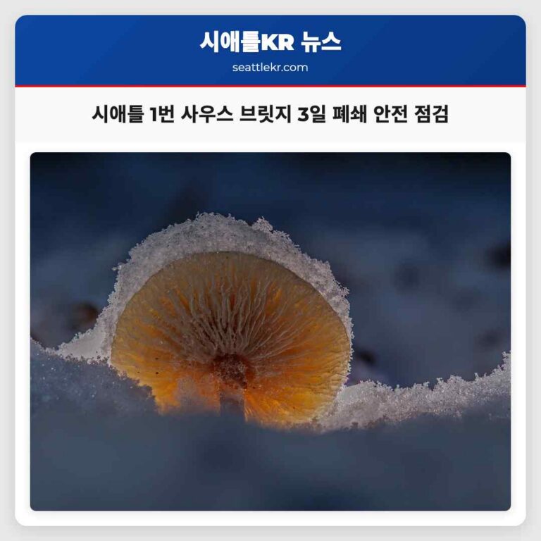 시애틀 1번 사우스 브릿지 안전 점검 위해 3일간 폐쇄