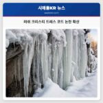 러쉬 크리스티 스테이크 하우스의 엄격한 드레스 코드 칠리즈 풍자로 사회적 주목