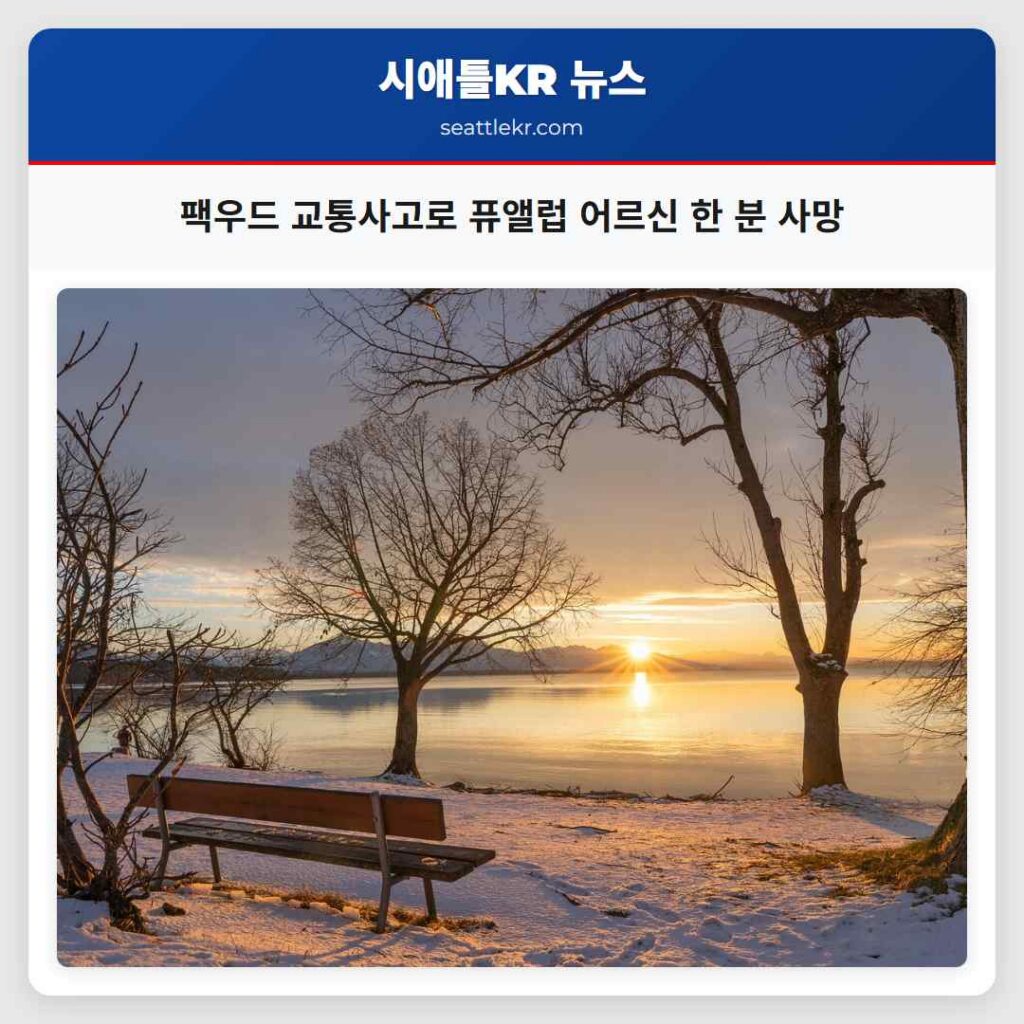 팩우드 교통사고로 퓨앨럽 어르신 한 분 사망